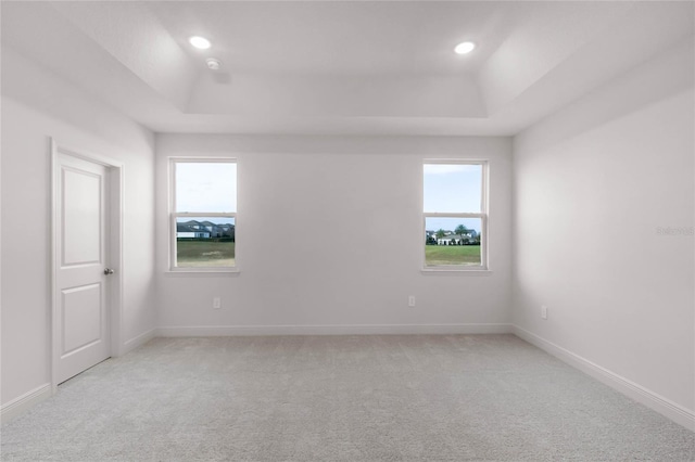 spare room with a raised ceiling and light carpet