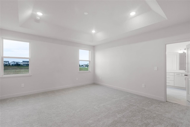 spare room featuring light carpet and a tray ceiling