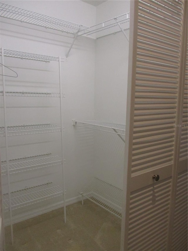 view of walk in closet