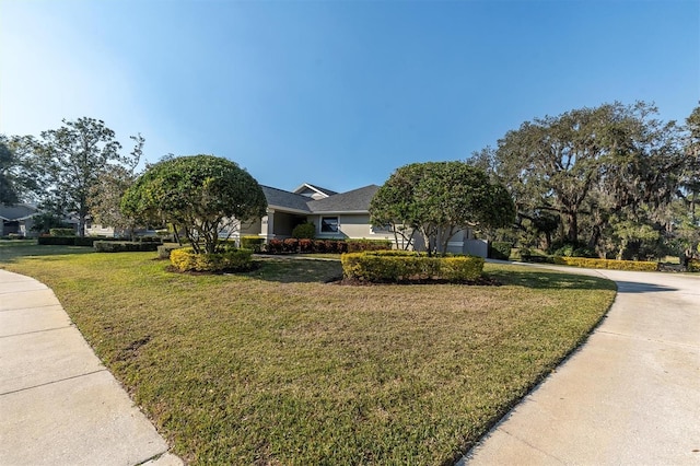2595 Royal Liverpool Dr, Tarpon Springs, FL 34688 - photo 4