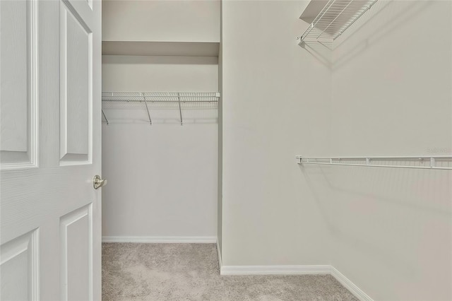 walk in closet with light carpet