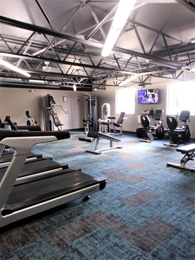 workout area featuring carpet flooring