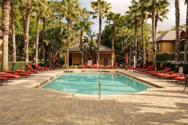 view of pool with a patio