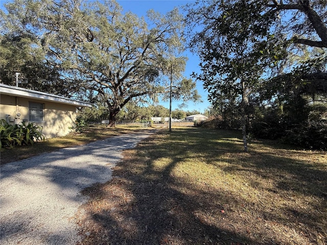 view of yard