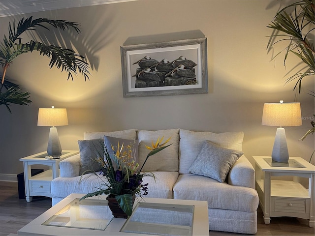 living room featuring hardwood / wood-style floors