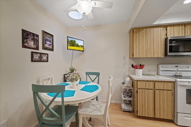 dining space featuring a textured ceiling, light wood-type flooring, and ceiling fan