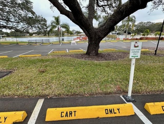 view of parking with a lawn