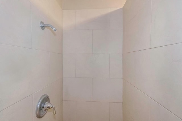 interior details with tiled shower