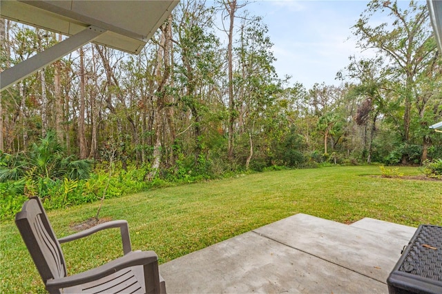 view of yard featuring a patio