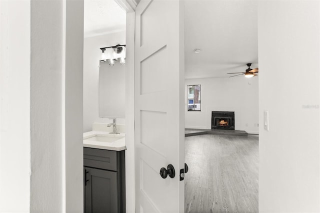 bathroom featuring ceiling fan, hardwood / wood-style floors, and vanity