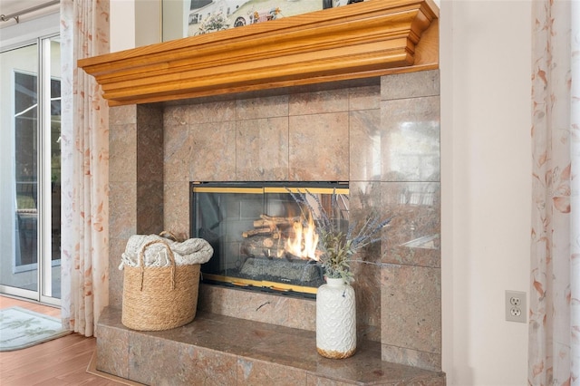 details featuring wood-type flooring and a fireplace