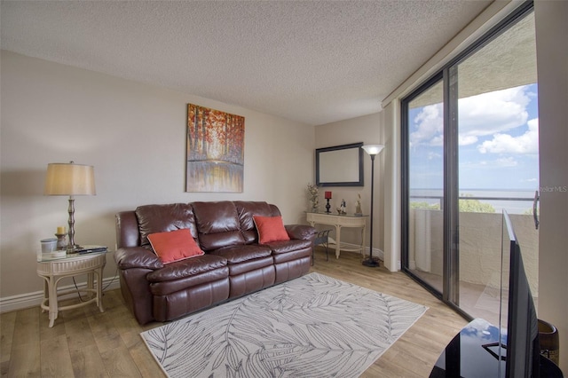 living room with light hardwood / wood-style floors and a textured ceiling