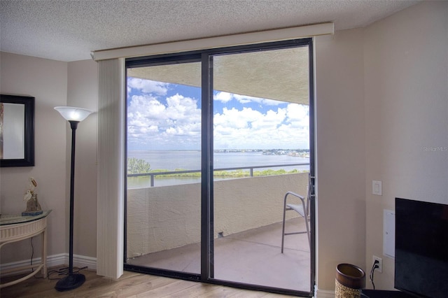 doorway to outside with a wealth of natural light, light hardwood / wood-style flooring, and a textured ceiling