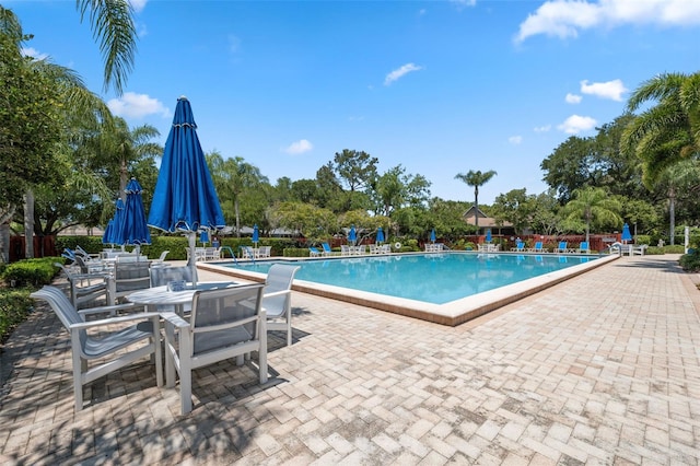 view of pool with a patio area