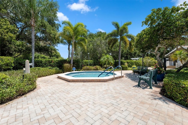 view of pool with a patio