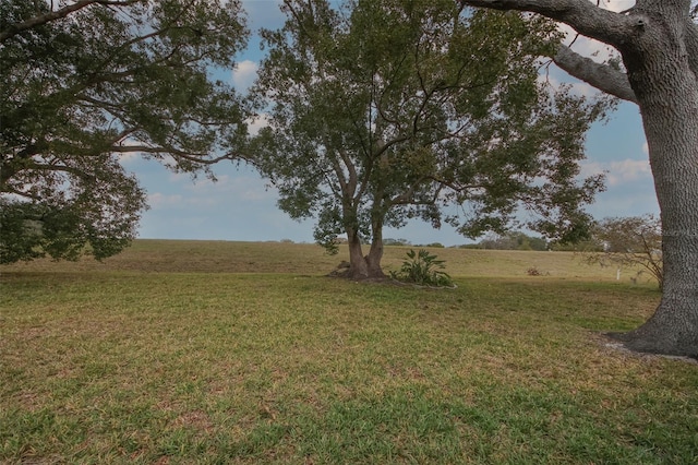 view of yard with a rural view