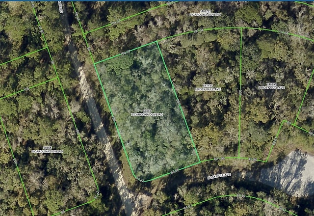 LOT1 Carolina Dove Rd, Brooksville FL, 34614 land for sale