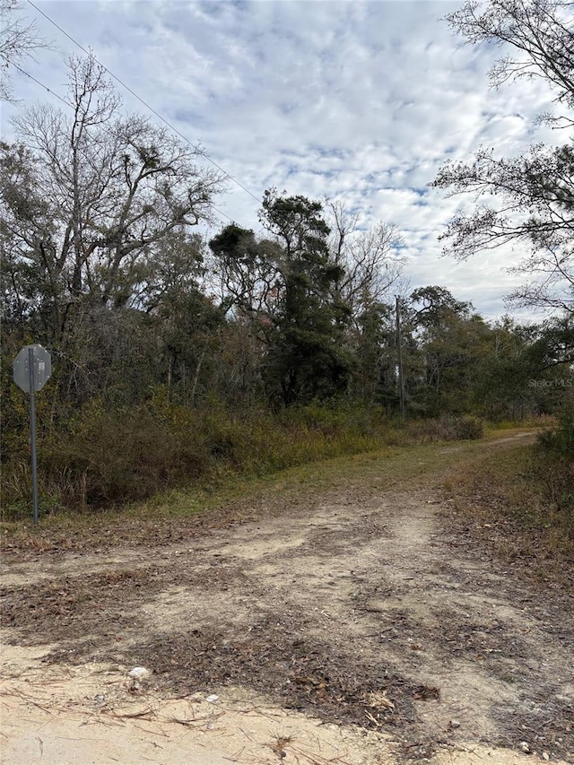 Listing photo 3 for LOT1 Carolina Dove Rd, Brooksville FL 34614