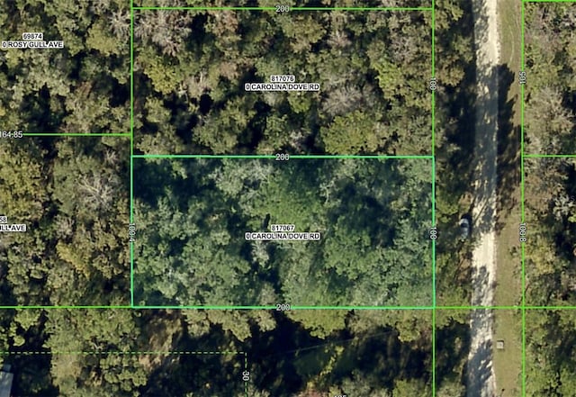 LOT3 Carolina Dove Rd, Weeki Wachee FL, 34614 land for sale