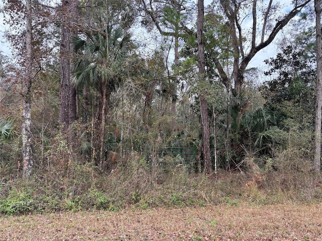 Listing photo 2 for LOT3 Carolina Dove Rd, Weeki Wachee FL 34614