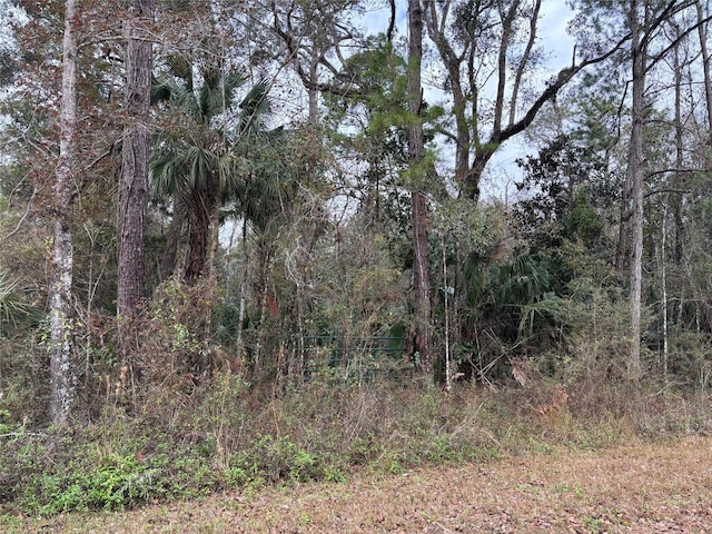 Listing photo 3 for LOT3 Carolina Dove Rd, Weeki Wachee FL 34614