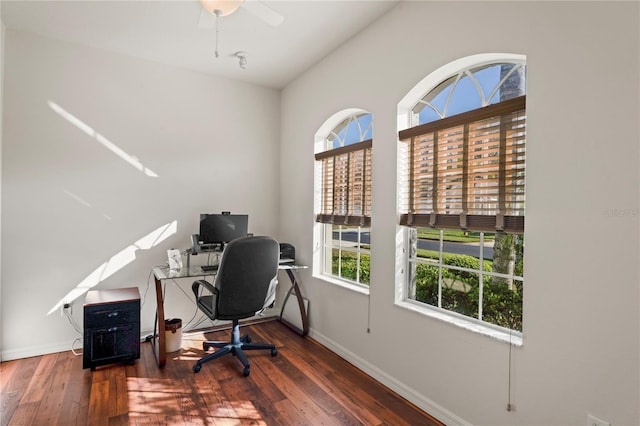 office featuring a wealth of natural light and dark hardwood / wood-style flooring