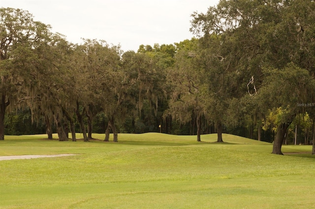 view of property's community featuring a yard