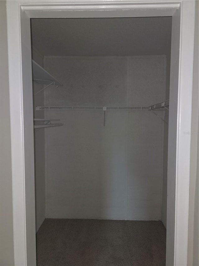 walk in closet with carpet