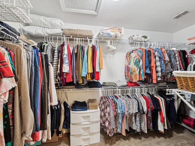 spacious closet featuring carpet