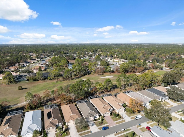 bird's eye view