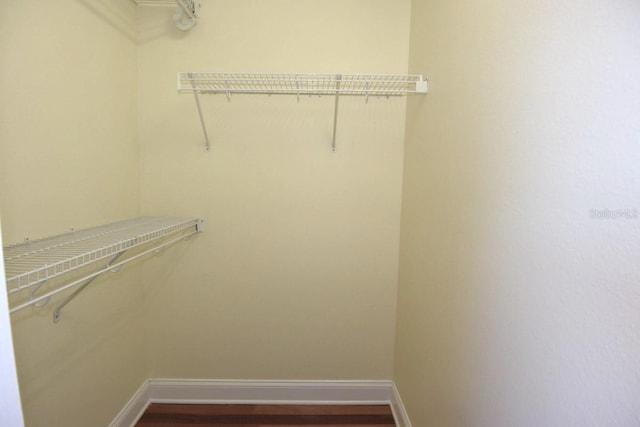 spacious closet featuring dark hardwood / wood-style flooring