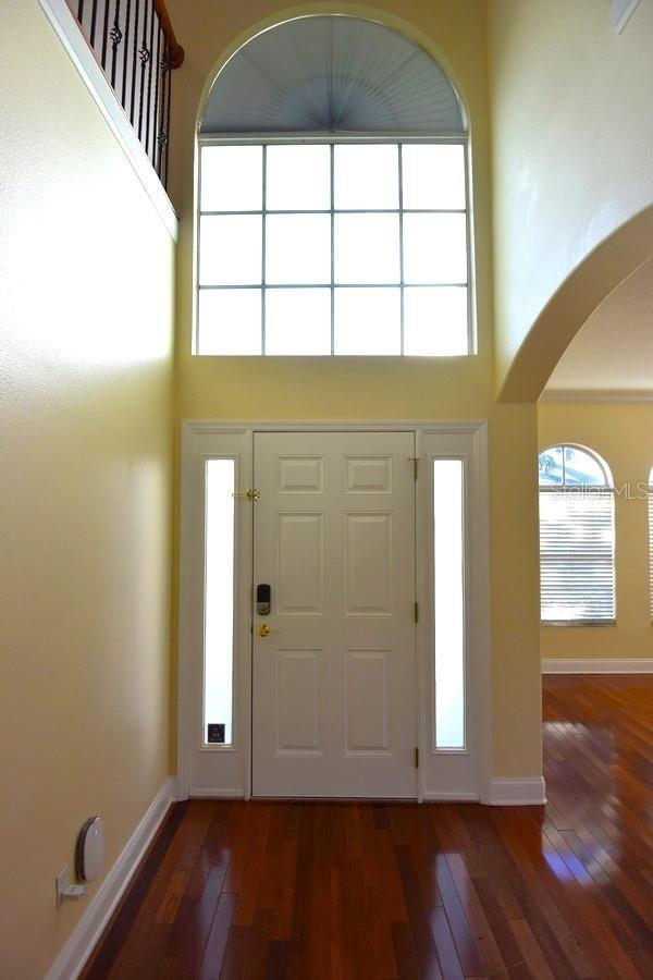 foyer featuring a towering ceiling, dark hardwood / wood-style floors, and plenty of natural light