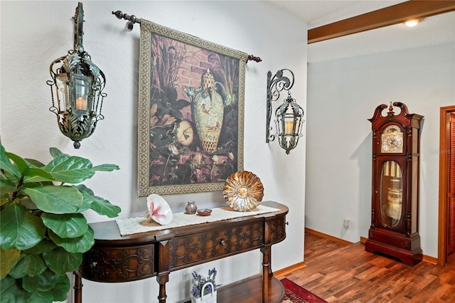 room details with wood-type flooring