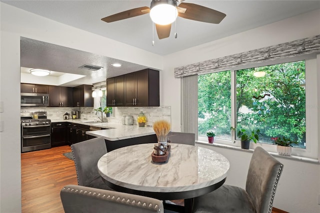 kitchen featuring dark brown cabinetry, stainless steel appliances, decorative backsplash, sink, and light hardwood / wood-style floors