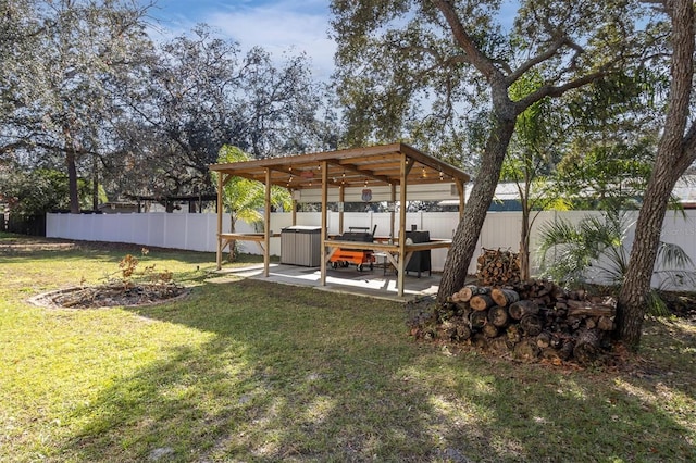 view of yard with a detached carport, a patio area, and a fenced backyard