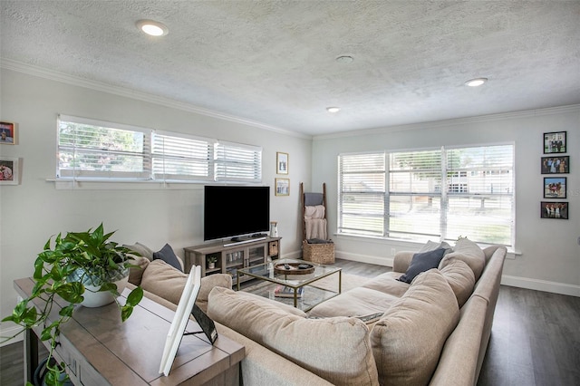 living room with hardwood / wood-style flooring, a textured ceiling, and ornamental molding