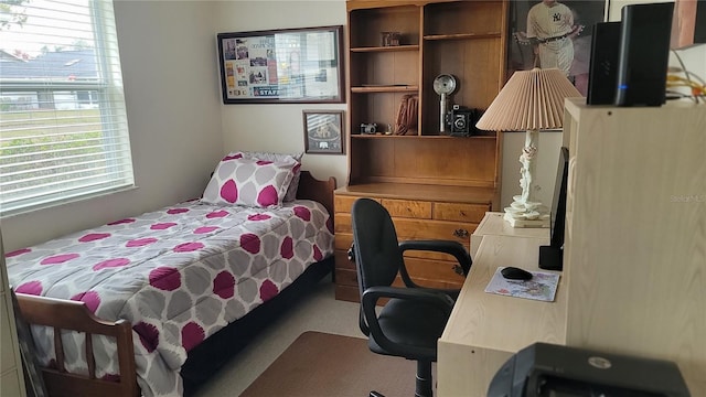 bedroom with carpet floors