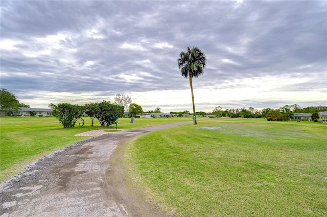 view of community with a yard