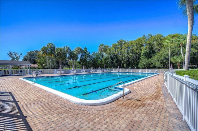 view of pool featuring a patio area