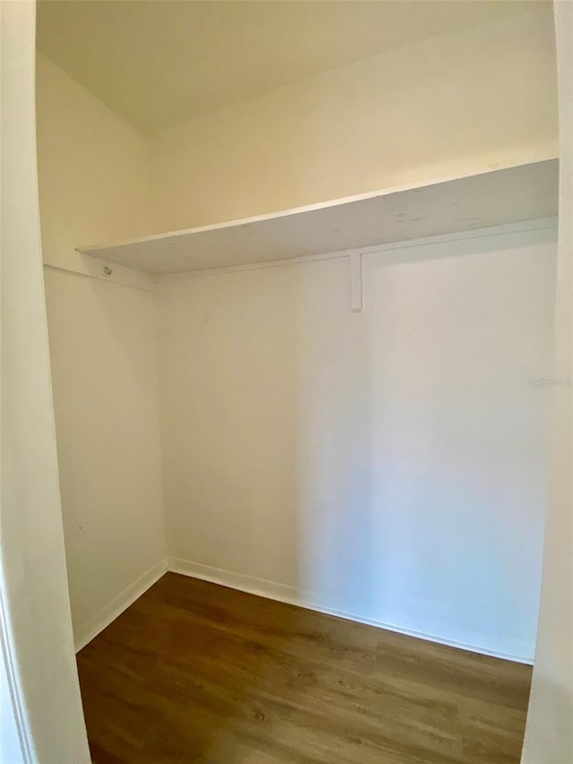 walk in closet featuring wood-type flooring