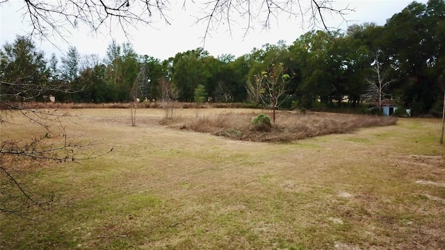 view of yard featuring a rural view