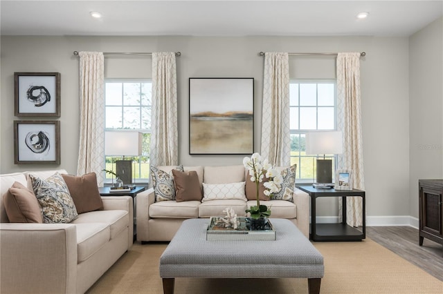 living room featuring light hardwood / wood-style flooring and a healthy amount of sunlight