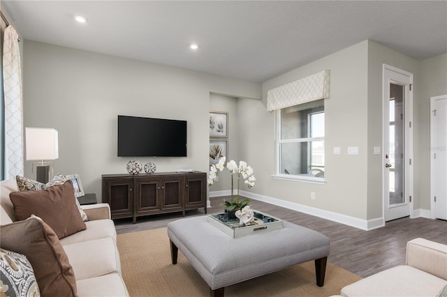 3744 Sky Mountain Aly, Apopka, FL 32712 - living room featuring wood-type flooring
