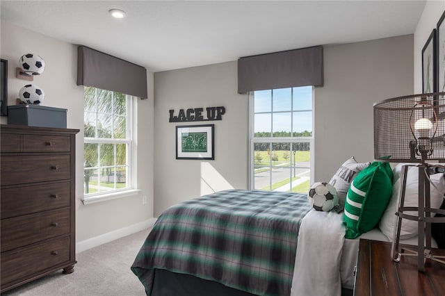 3744 Sky Mountain Aly, Apopka, FL 32712 - carpeted bedroom with multiple windows