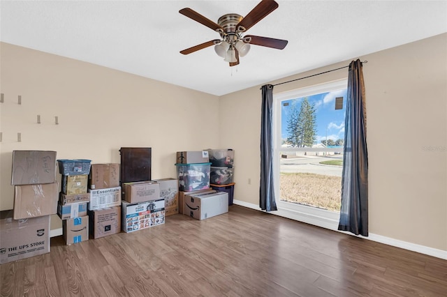 interior space featuring wood-type flooring, ceiling fan, and a wealth of natural light