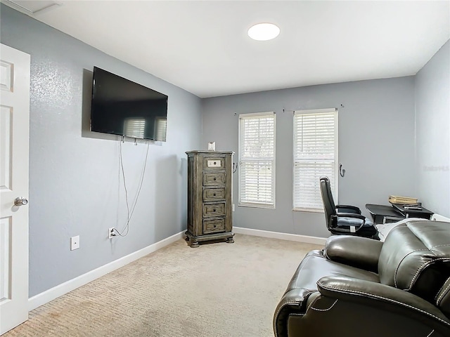 living area featuring carpet flooring