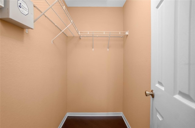 walk in closet featuring hardwood / wood-style flooring