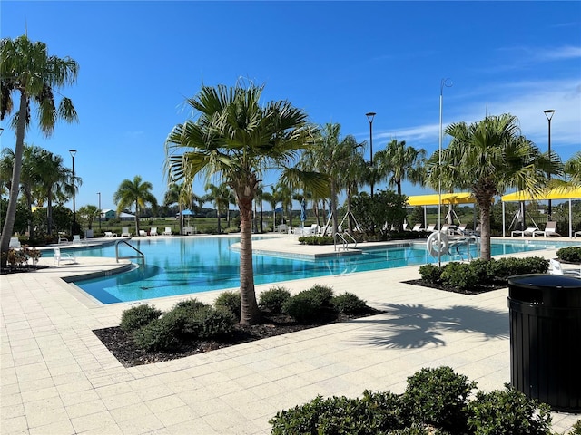 view of pool featuring a patio