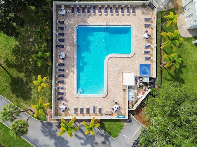 2700 Bayshore Blvd Unit 3108, Dunedin, FL 34698 - photo 36