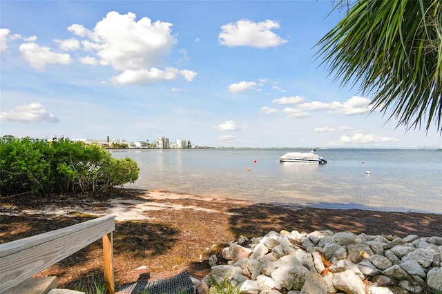 2700 Bayshore Blvd Unit 3108, Dunedin, FL 34698 - photo 49
